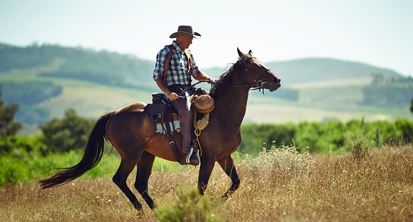 Unforgettable Moments in Saddle